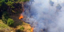 Лесные пожары — Профилактика и выживание